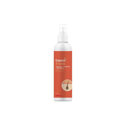 Product image for 21534