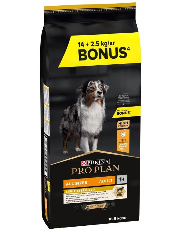 Product image for 21381