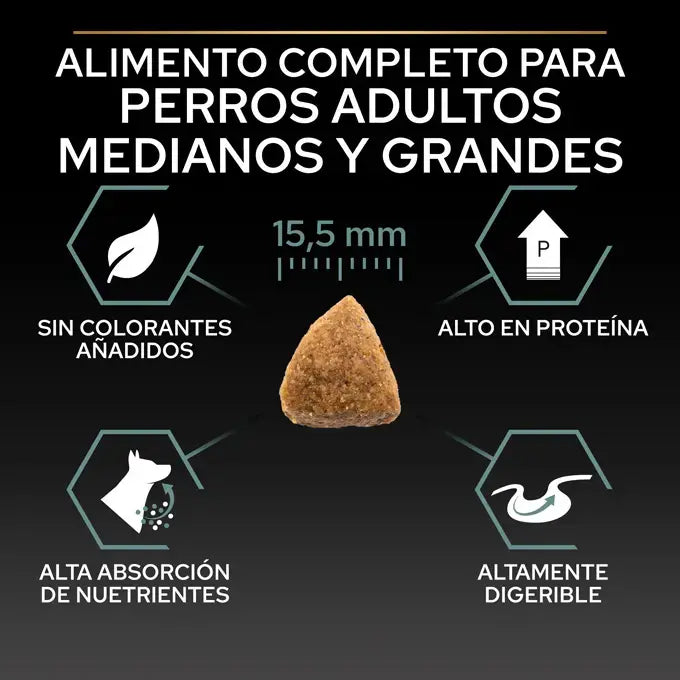 Product image for 21325