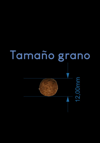 Product image for 24058