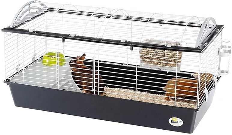 Product image for 15263