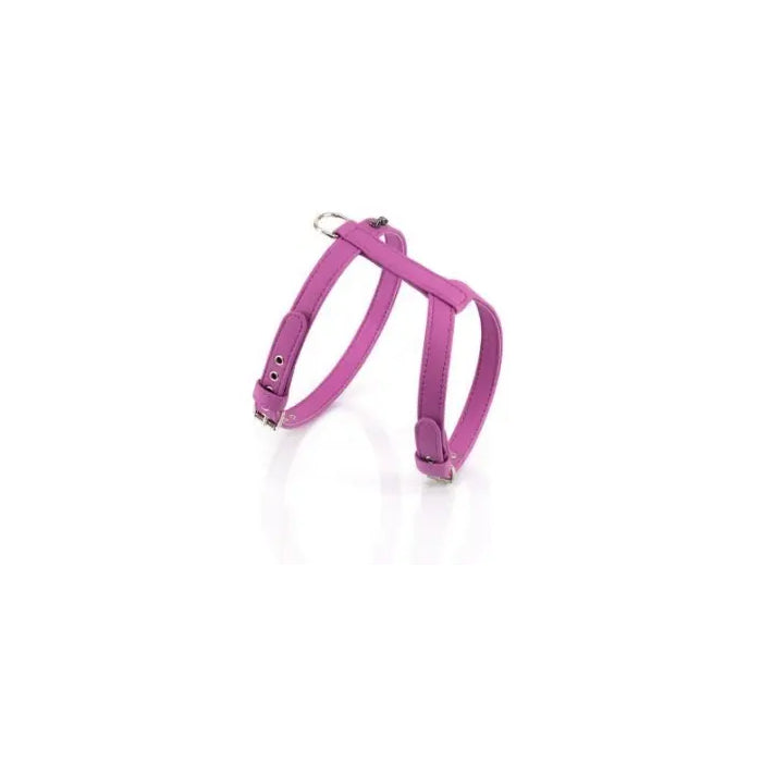 Product image for 17233