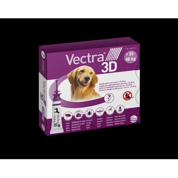 Product image for 19606