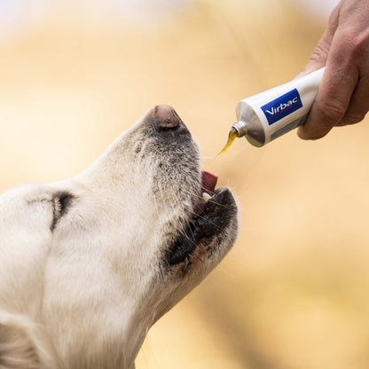 Virbac Nutri Plus Gel Supplément Nutritionnel 120g