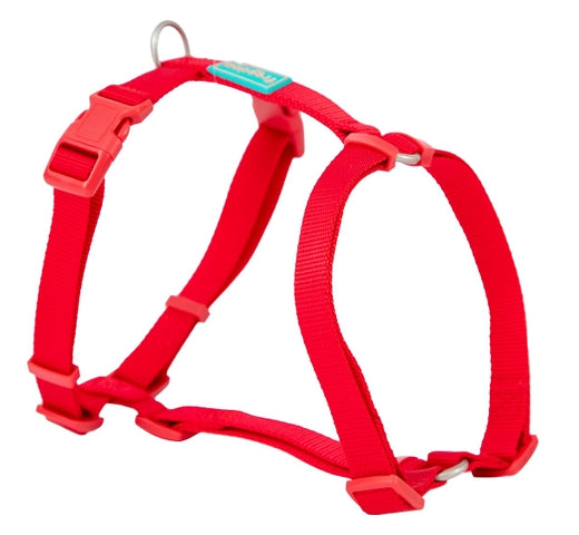 Product image for 11917