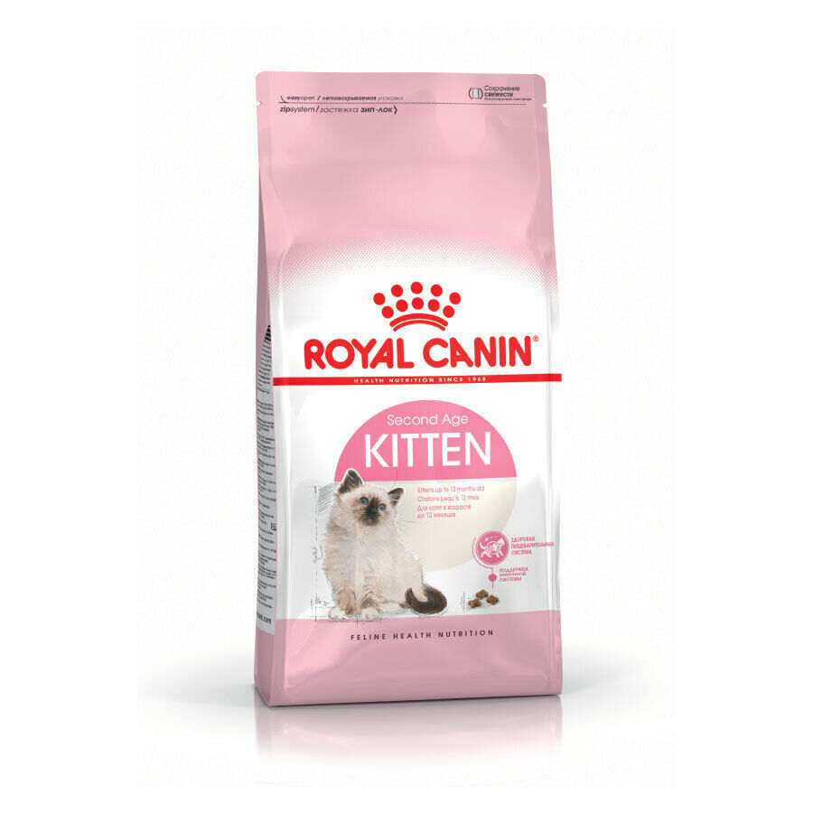 Product image for 16803