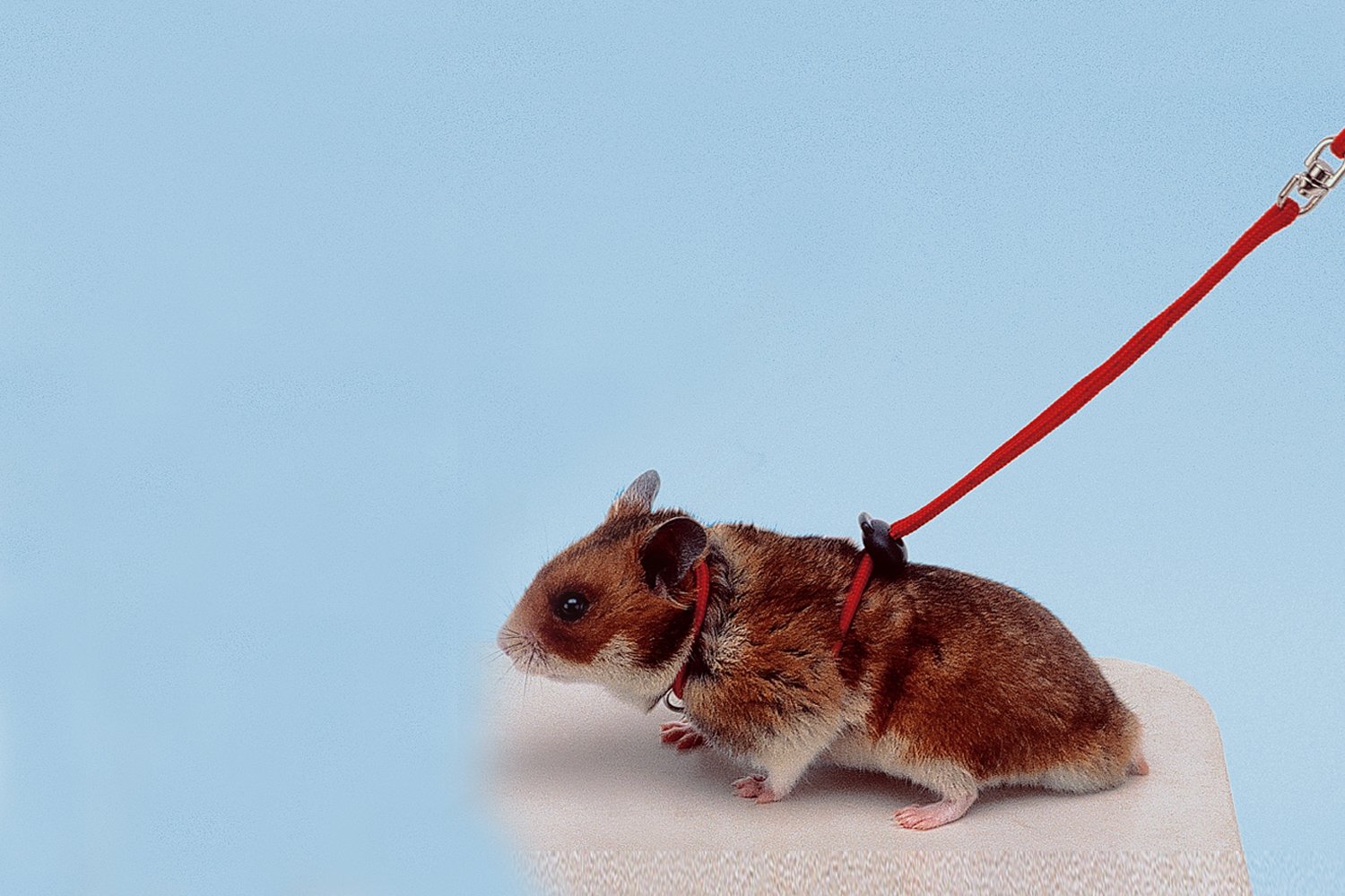 Product image for 15015