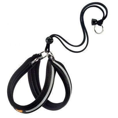 Product image for 17616