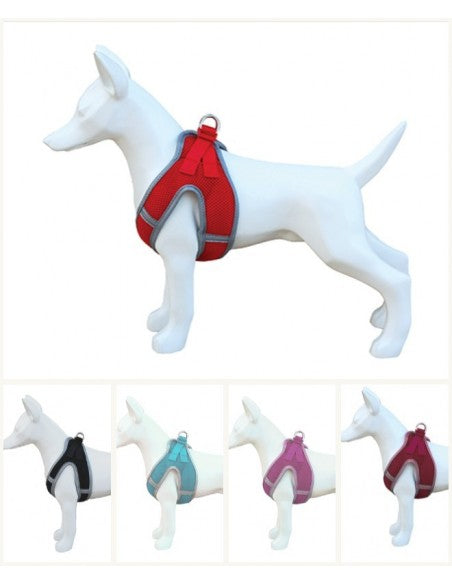 Product image for 16323