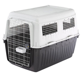 Product image for 11102