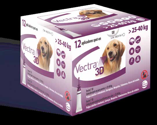 Product image for 21170