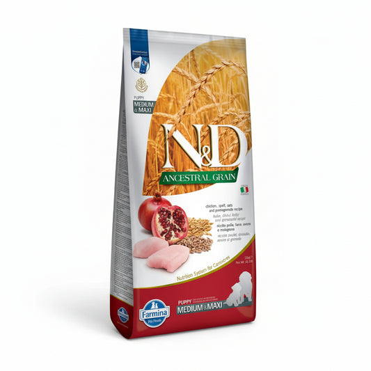 Product image for 13975