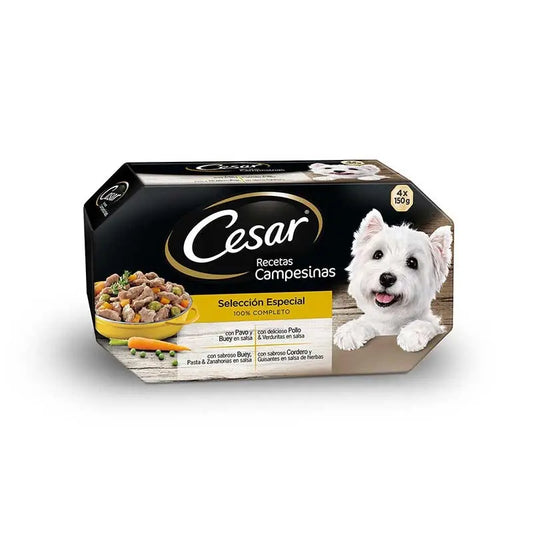 Product image for 10462