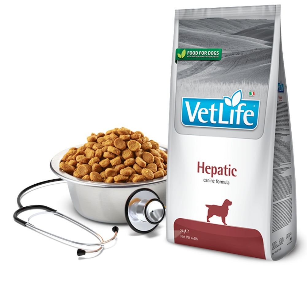 Product image for 13928