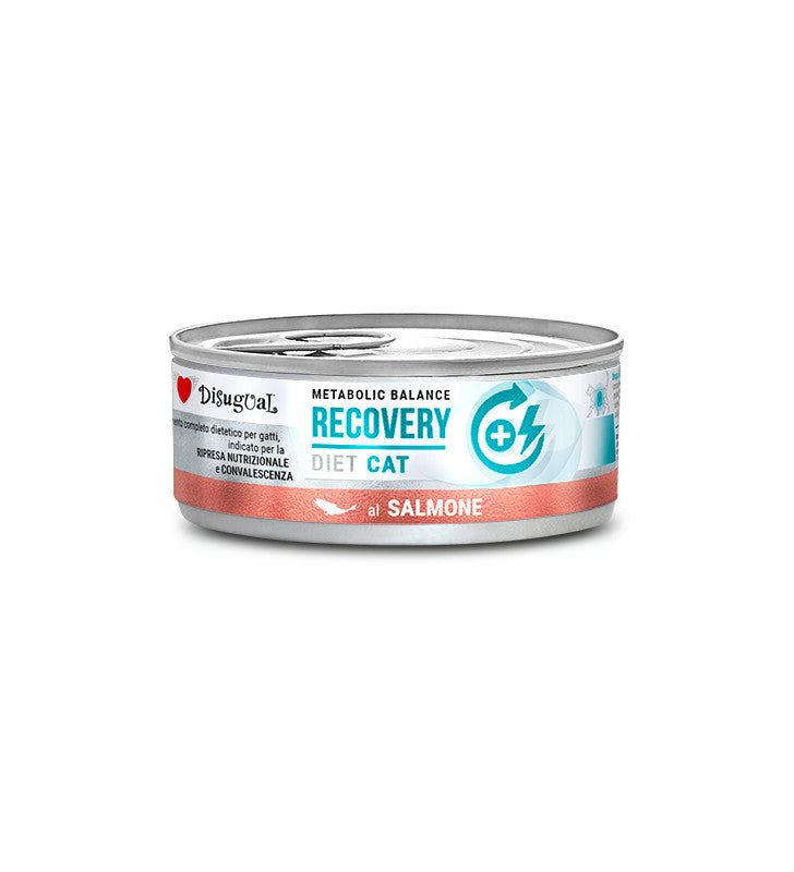 Product image for 10137