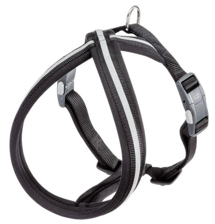 Product image for 15187