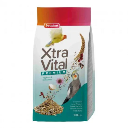 Product image for 10566
