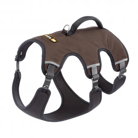Product image for 15494