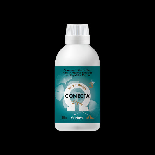 Product image for 11323