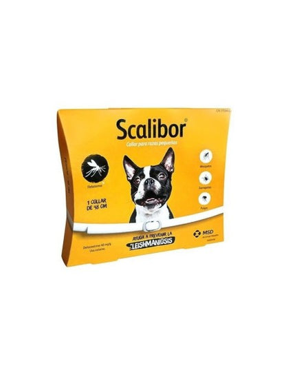 Product image for 19369