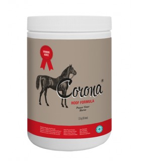 Product image for 11342