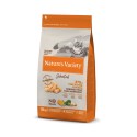 Product image for 10072