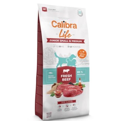 Product image for 13766