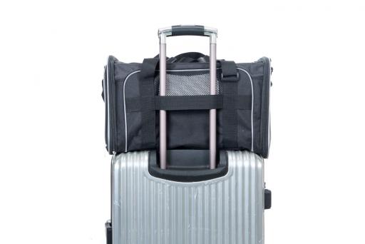 Product image for 16364