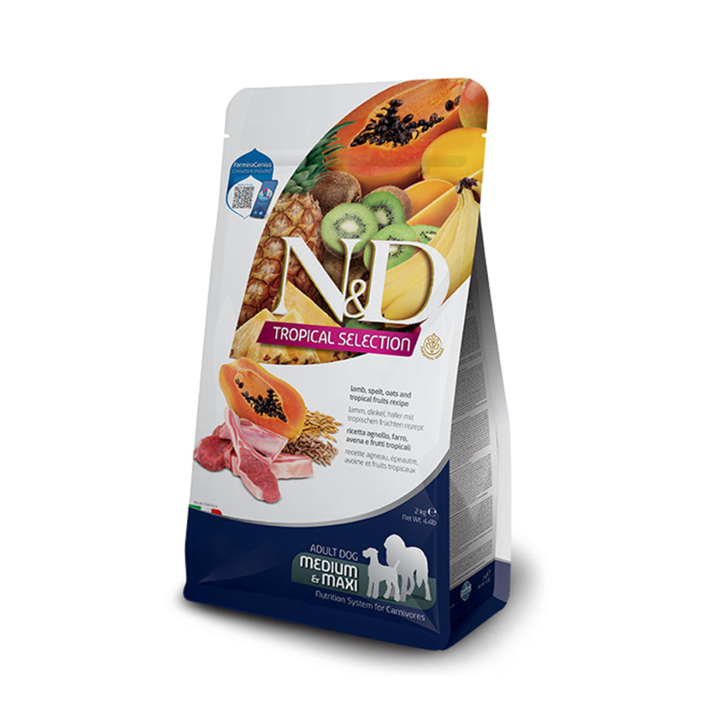 Product image for 13919
