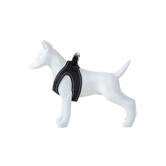 Product image for 15974