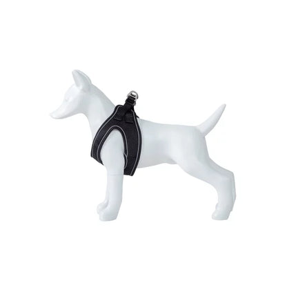 Product image for 15974