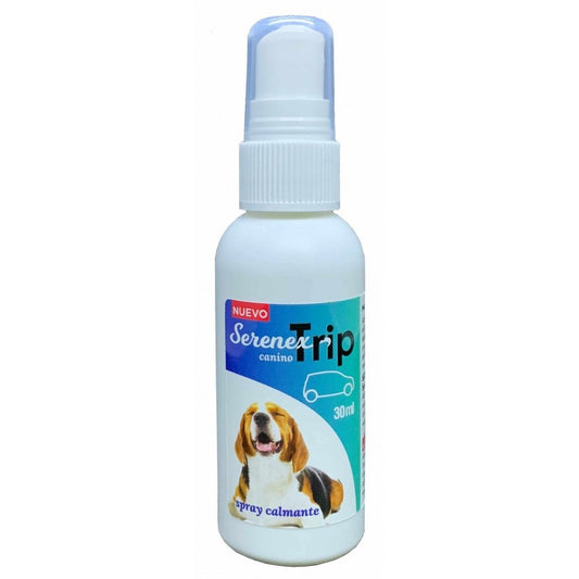 Product image for 16597