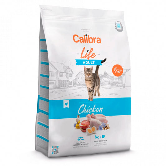 Product image for 13771