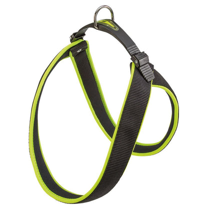 Product image for 14276