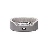 Product image for 15231