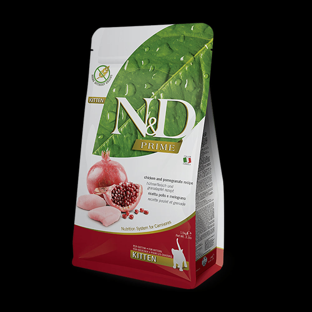 Product image for 13882