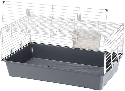 Product image for 15645