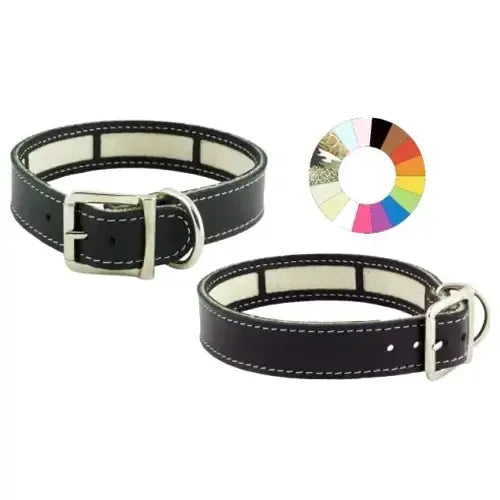 Product image for 17813