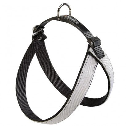 Product image for 17955
