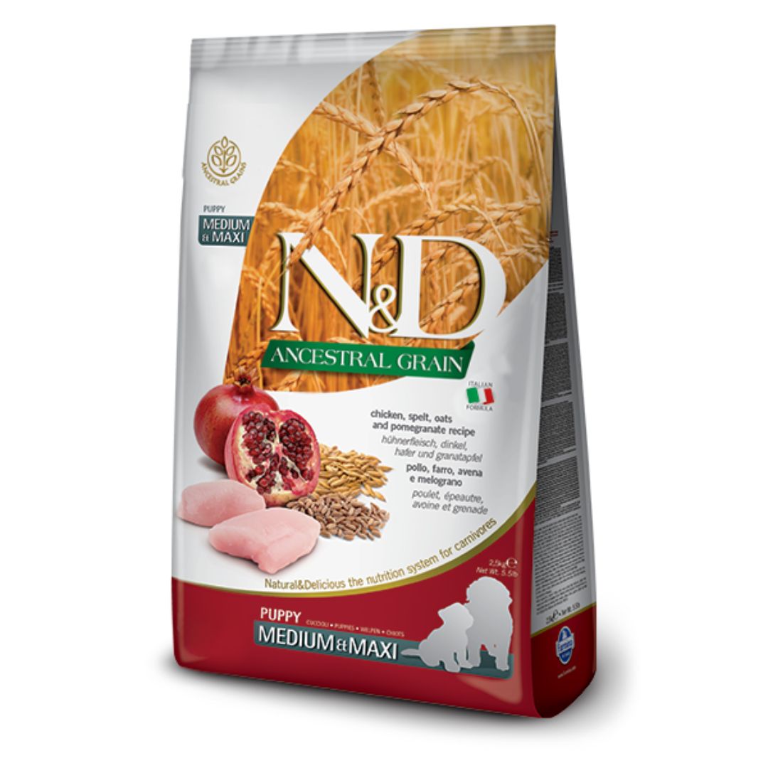 Product image for 13975