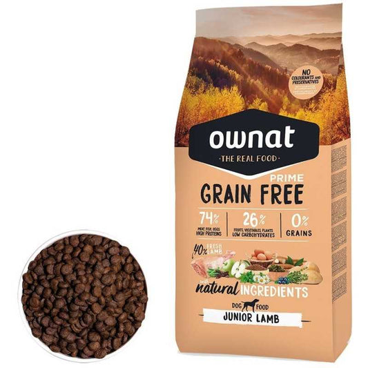 Product image for 11897