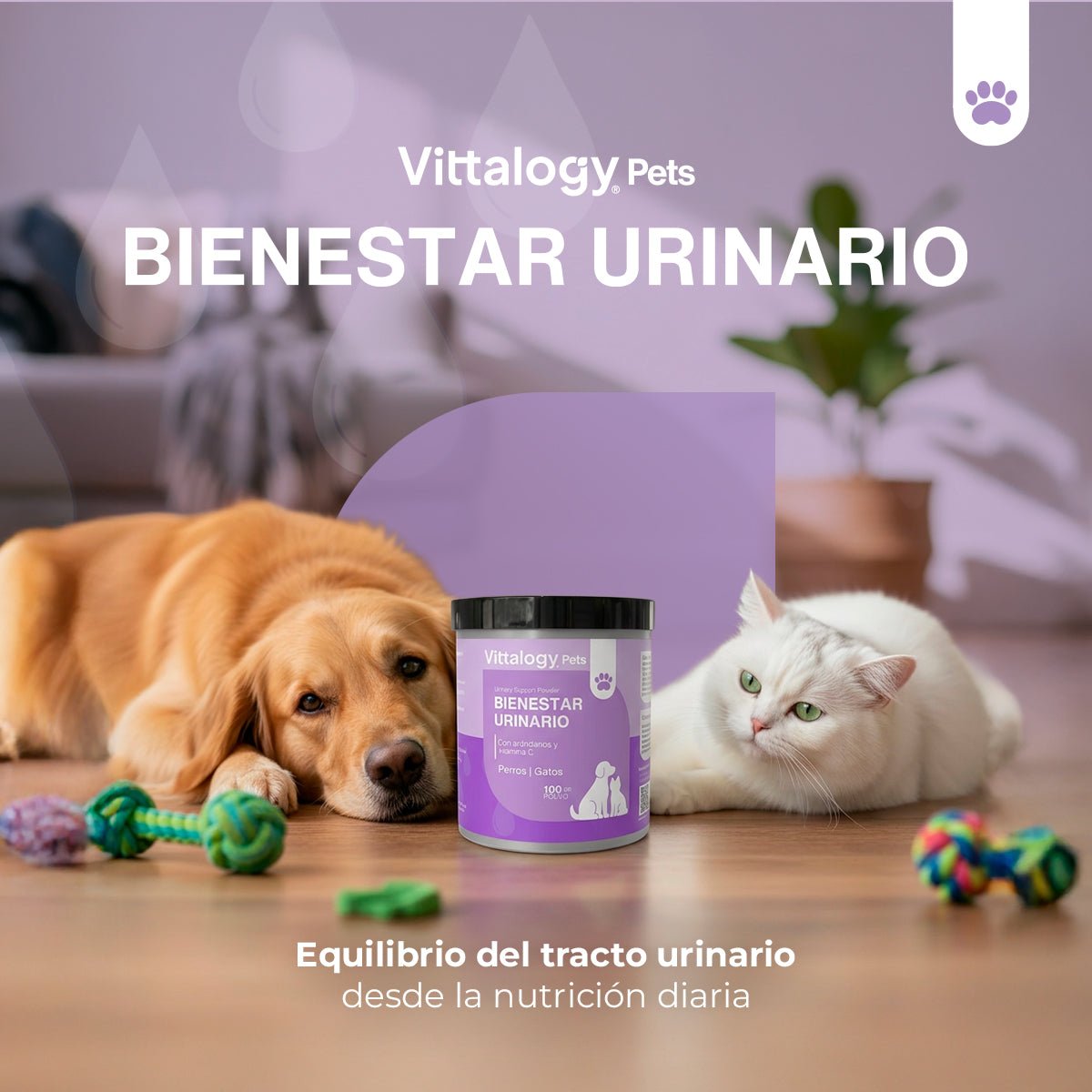 Vittalogy Bienestar Urinario Polvo 100gr