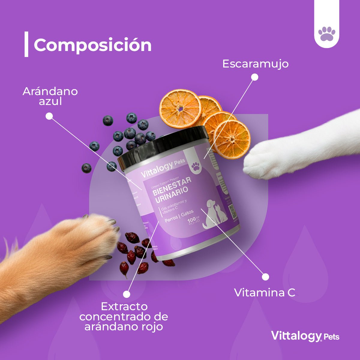 Vittalogy Bienestar Urinario Polvo 2x100gr【PACK AHORRO】