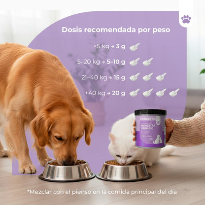 Vittalogy Bienestar Urinario Polvo 100gr
