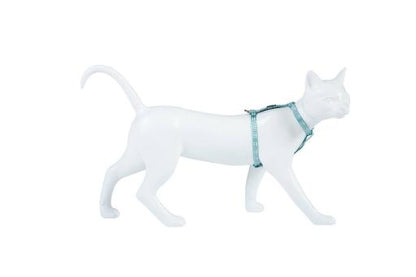 Product image for 15997