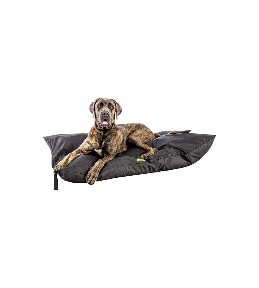 Product image for 14955