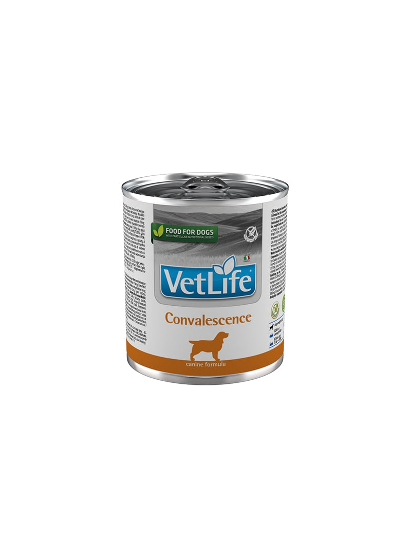 Product image for 13902