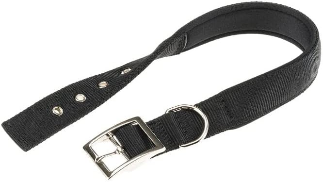 Product image for 15295
