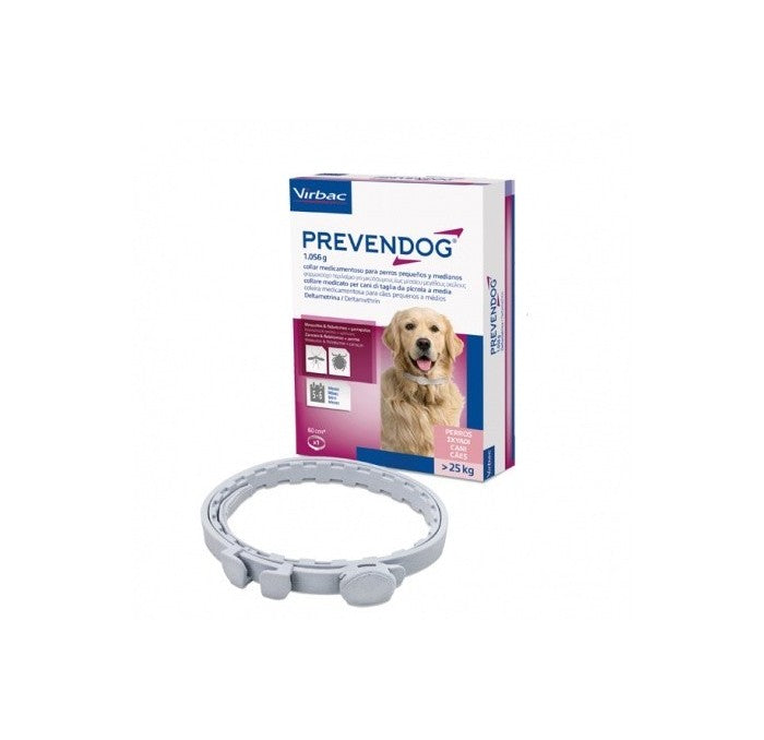 Product image for 19553