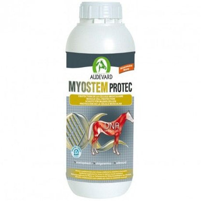 Product image for 10051